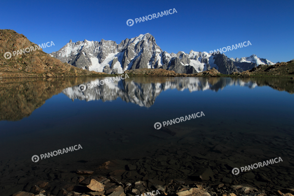  Dente del Gigante e Grandes Jorasses si specchiano