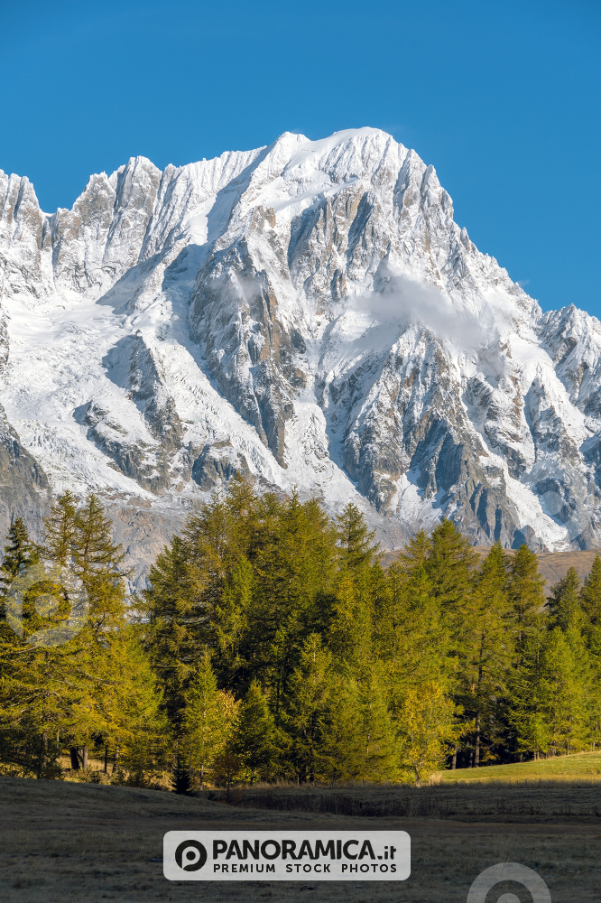 Grand Jorasses da Petosan