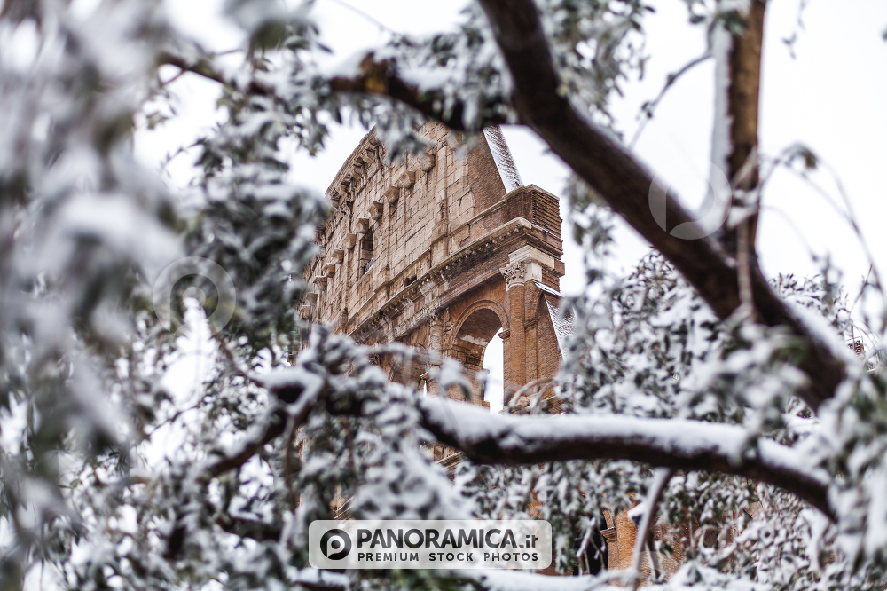 A lovely day of snow in Rome, Italy, 26th February 2018: a beautiful view of Colosseum among an olive tree under the snow