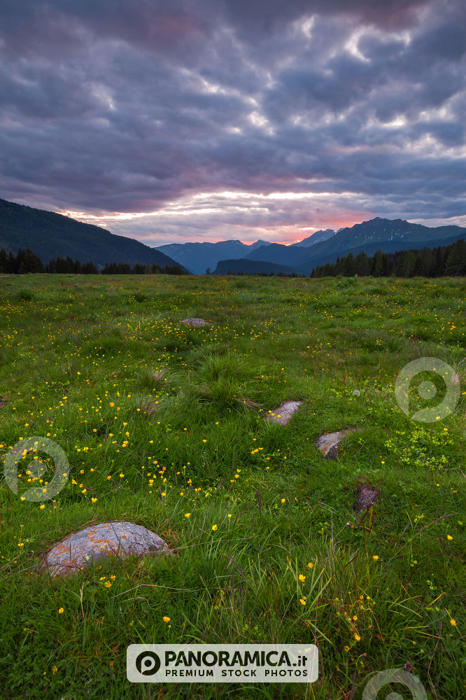 A view of Mezzena Peak from Malga Rolle, Paneveggio Natural Park, Dolomites, Trentino Alto Adige, Italy