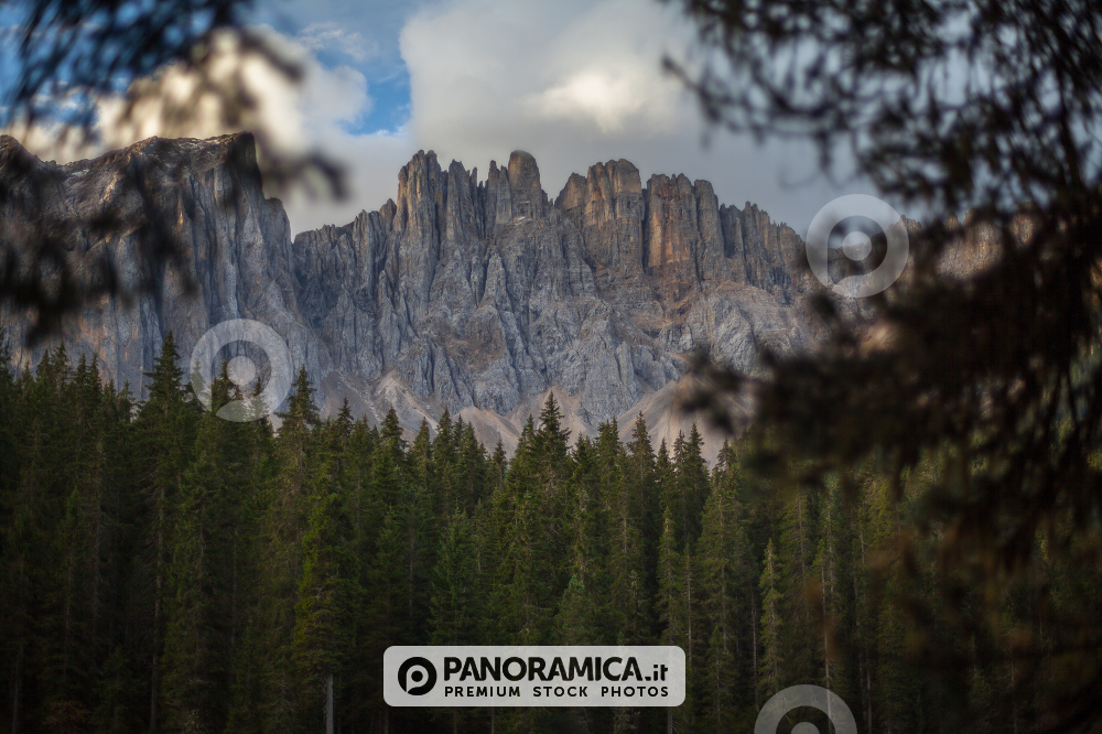 A view of the Mount Latemar, over the Lake Carezza, between two trees, Dolomites, Trentino Alto Adige, Italy