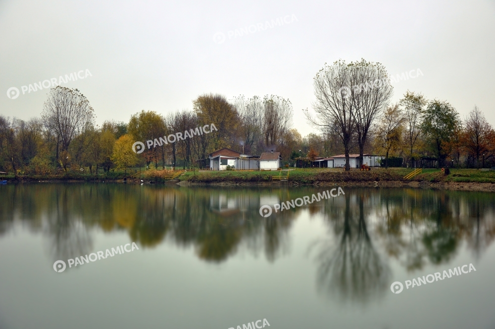 Alberi riflessi al Parco delle Cave (Cava Aurora)