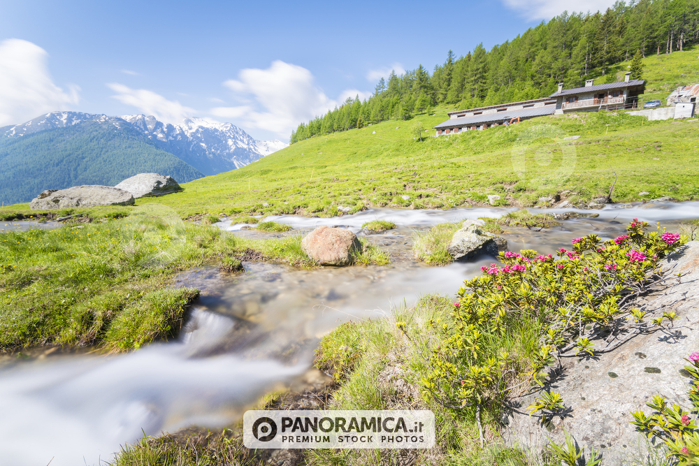Alpe Barasson, Vallone di Barasson, Valle del Gran San Bernardo, Valle d'Aosta