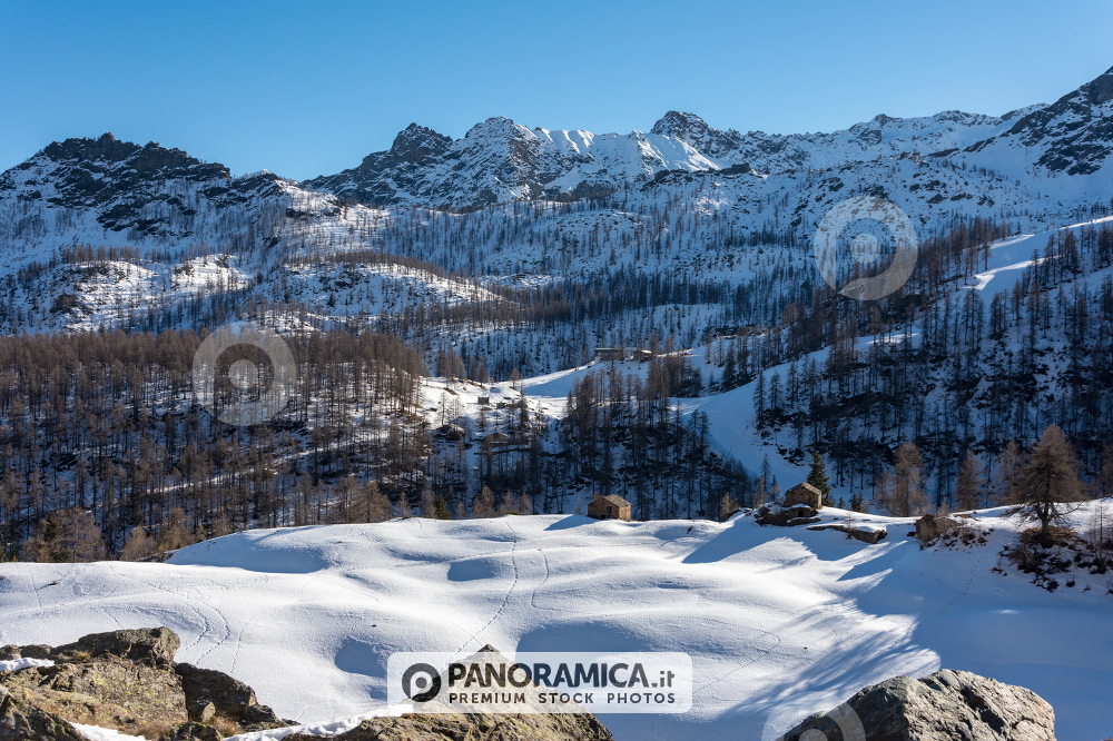 Alpeggi