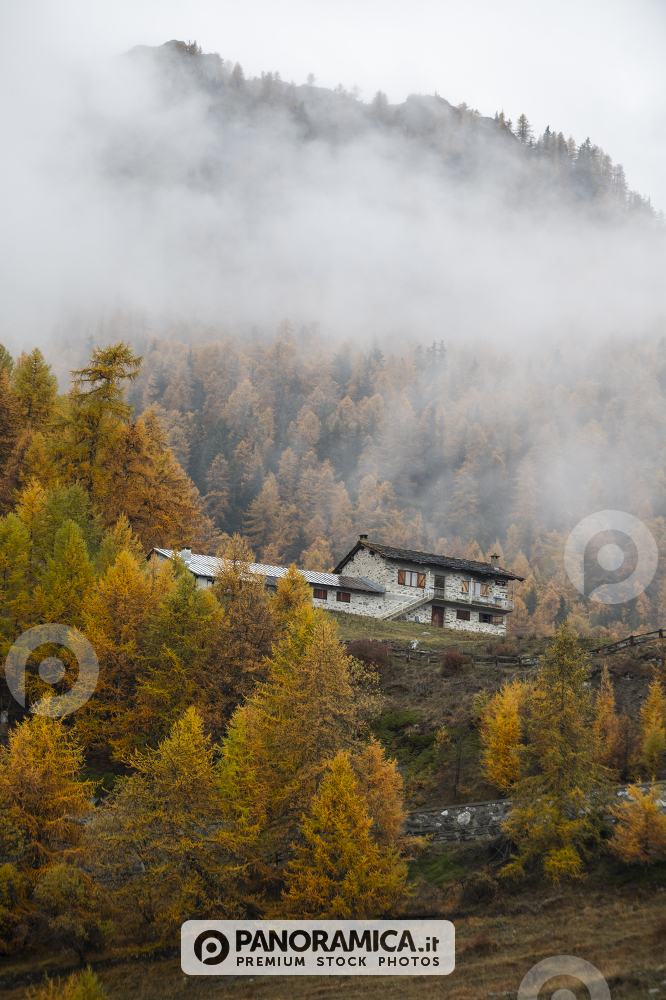 Alpeggio nella nebbia a Torgnon