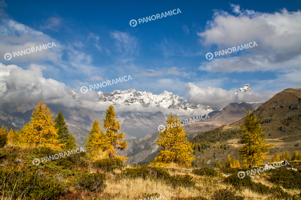 Autunno a Cheneil