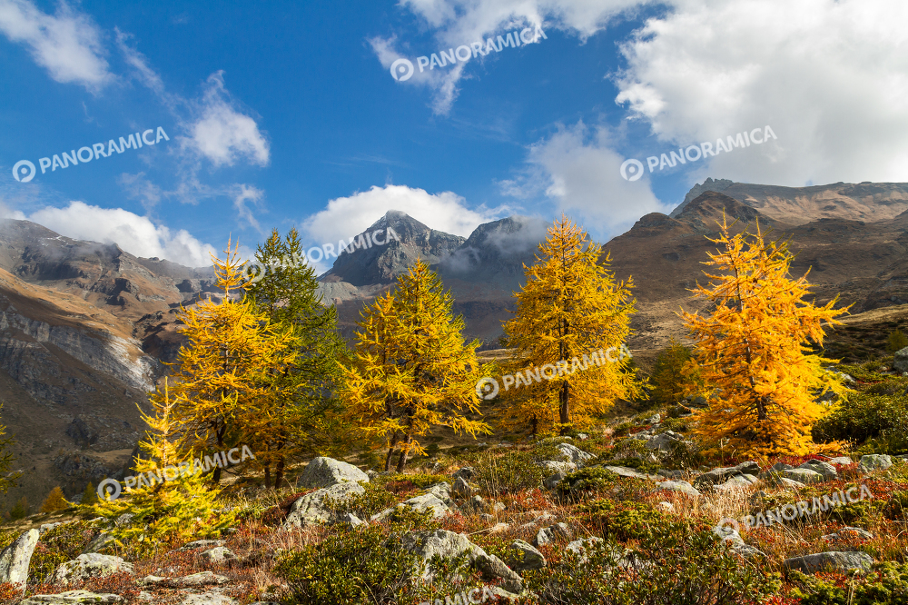Autunno a Cheneil