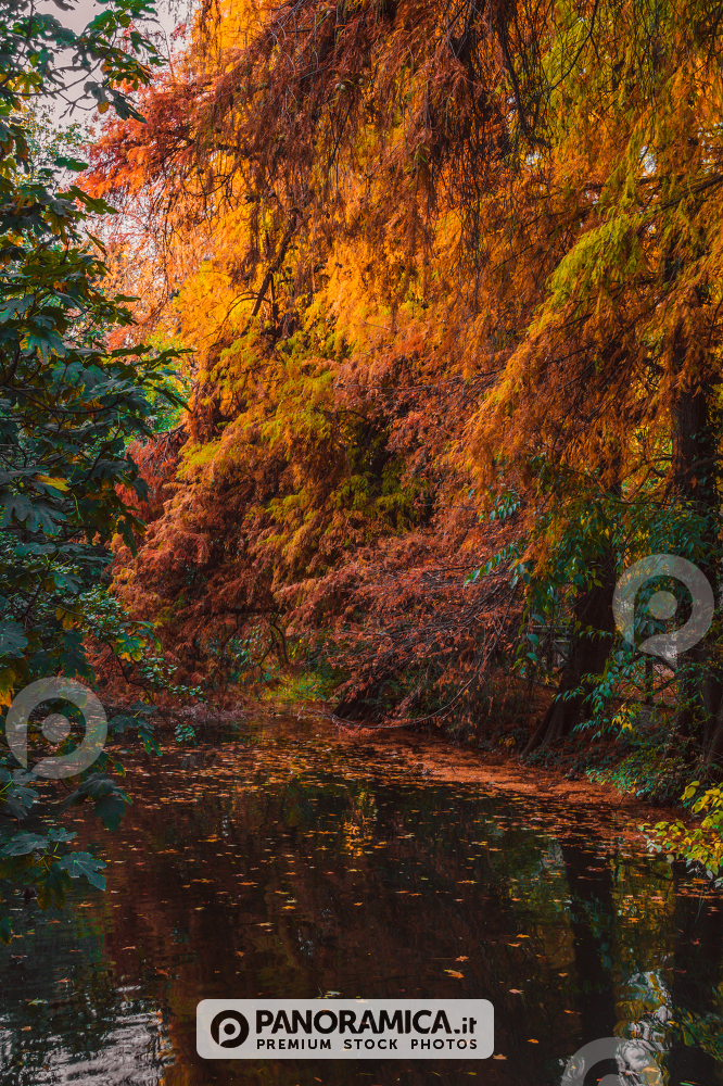 Autunno al Parco Idro Montanelli