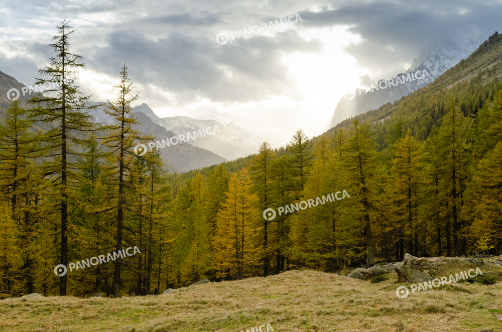 Autunno in Val Ferret