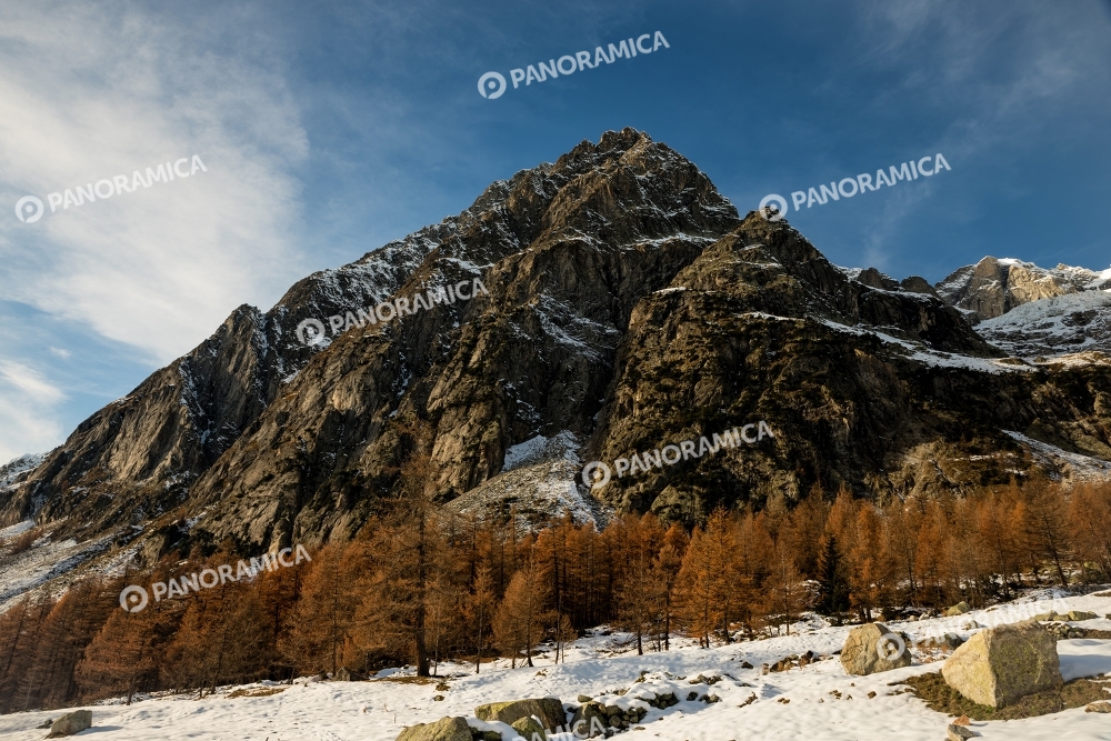 Autunno in Vale Ferret