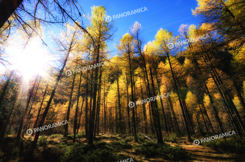 Autunno in Valnontey