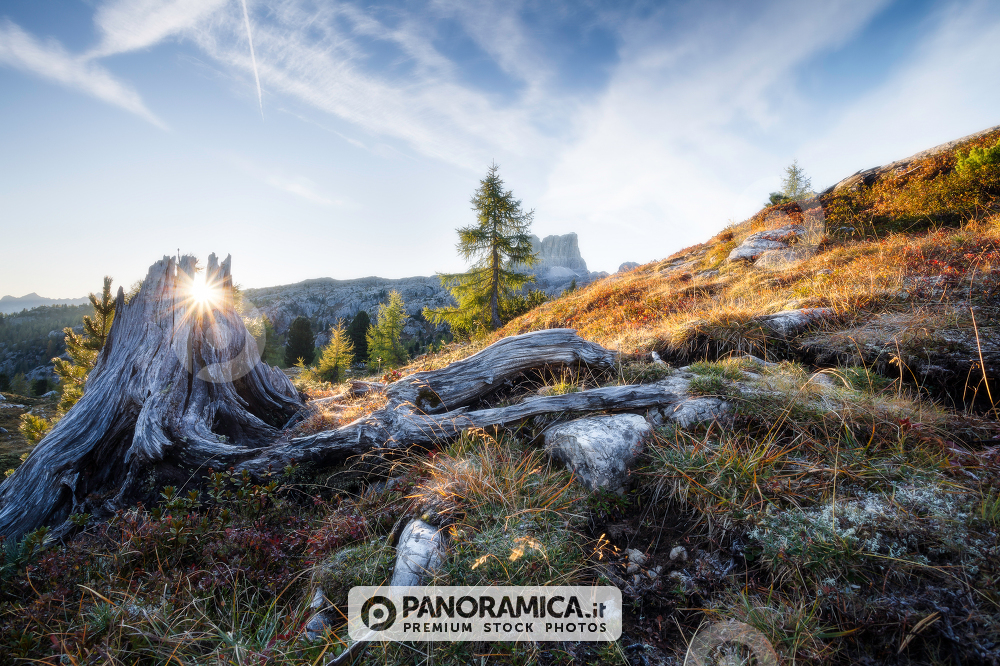 Averau, Falzarego Pass, Dolomites, Veneto, Italy