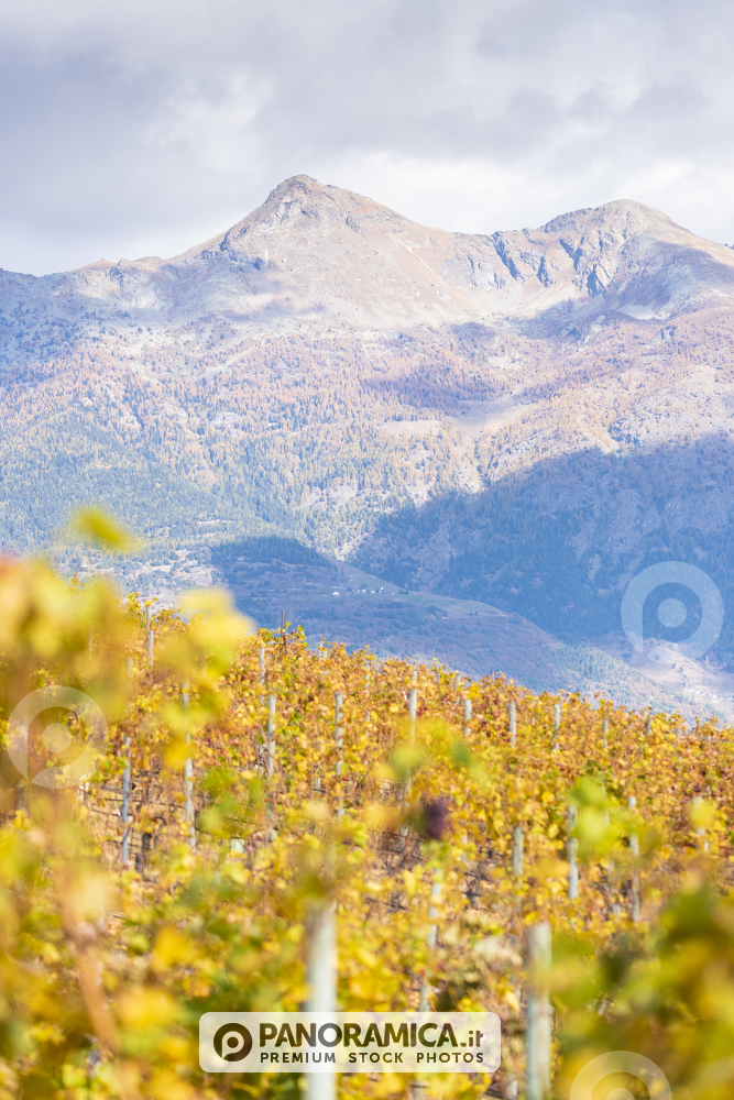 Becca di Viou e Mont Mary in autunno, Valle d'Aosta