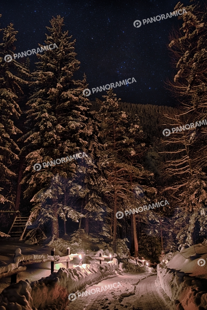 Bosco Parco Avventura Mont Blanc