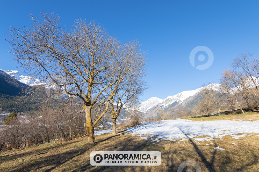 Campagna presso La Salle, Valdigne, Valle d'Aosta