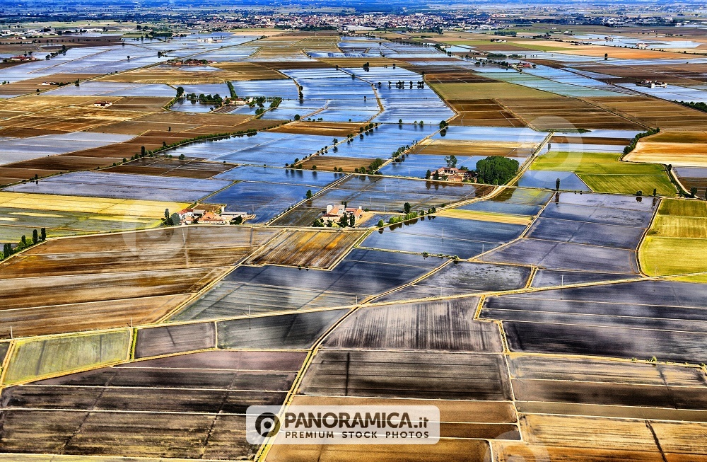 Campagna Vercellese - le risaie allagate
