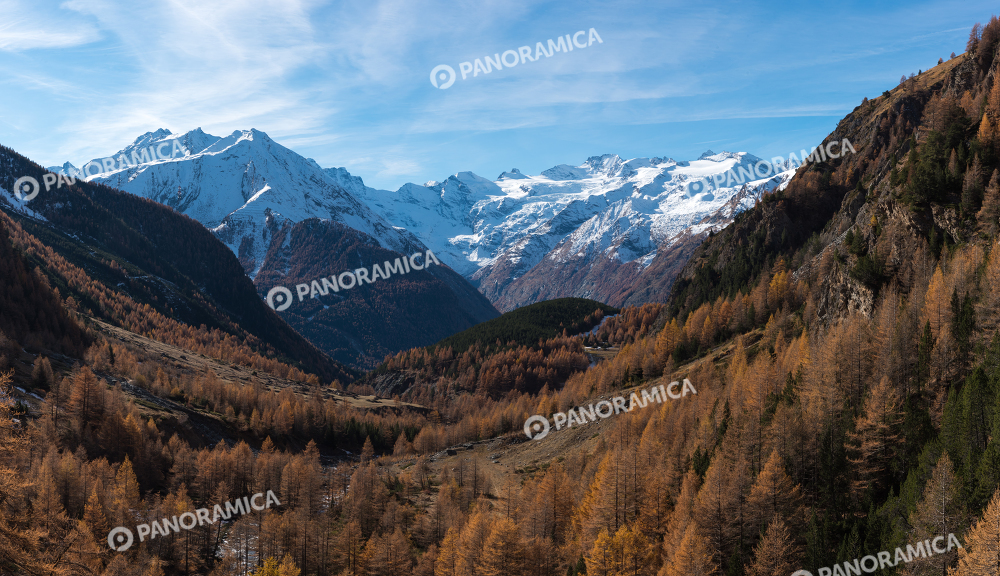 Catena del Gran Paradiso dal Vallone Grauson