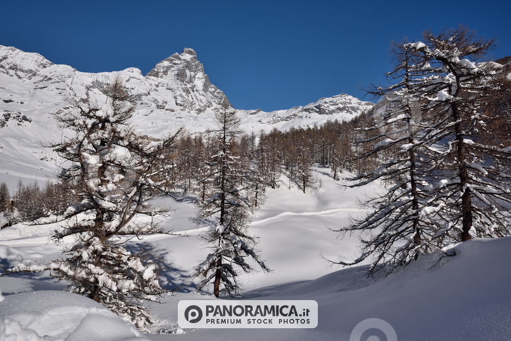 Cervino d'inverno