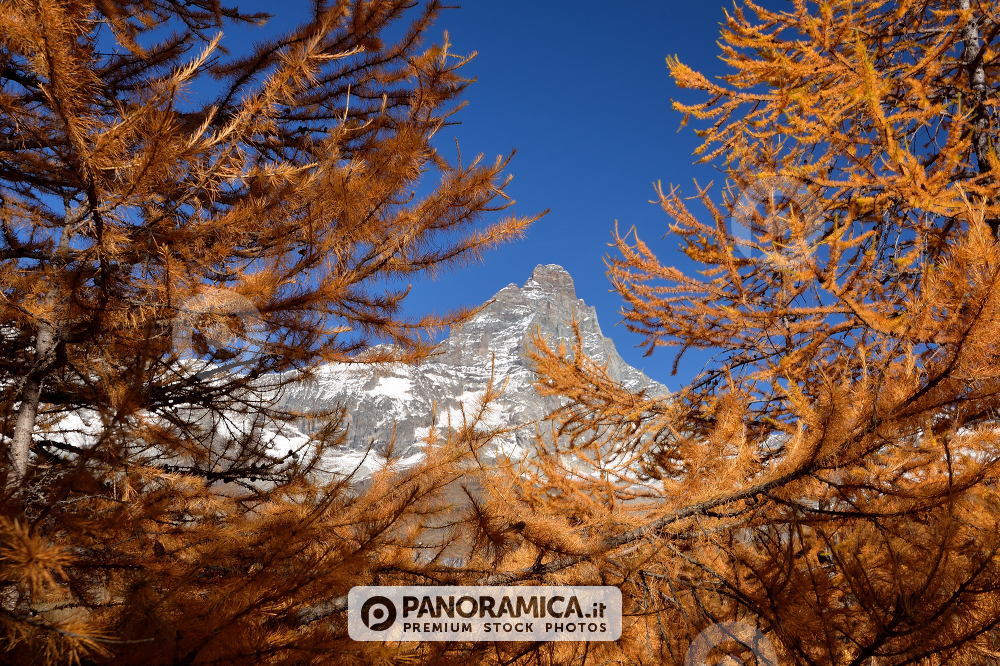 Cervino nei colori d'autunno