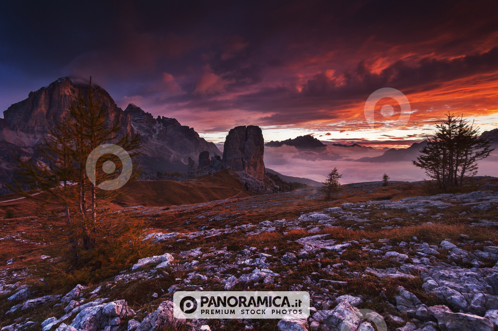 Cinque Torri, Cortina d Ampezzo, Belluno, Dolomites, Veneto, Italy