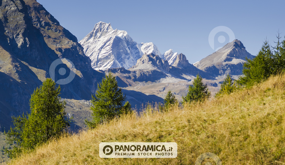 Dent d'Herens e Cime Bianche da Cuneaz, Val d'Ayas, Valle d'Aosta