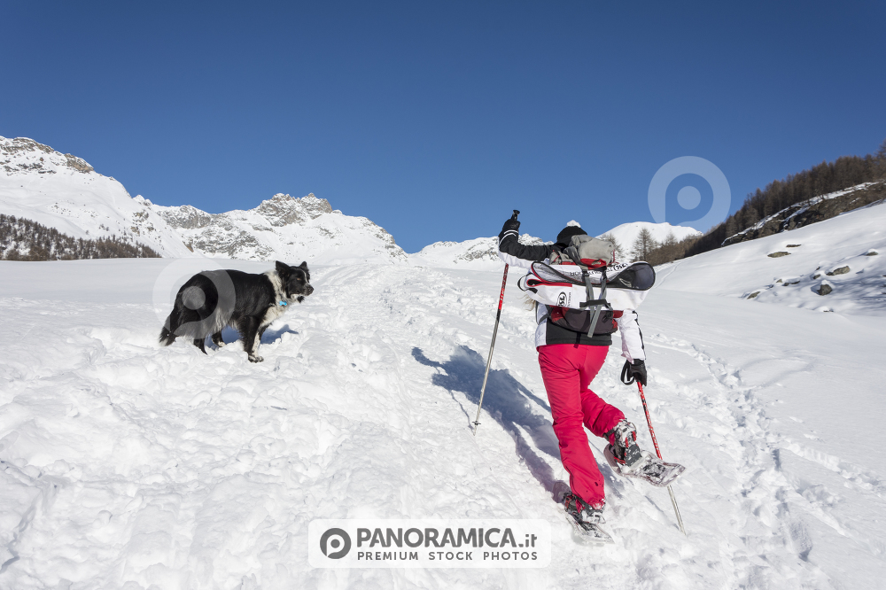 Escursionista a Torgnon, Valle del Cervino, Valle d'Aosta