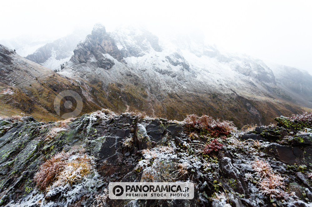 First snow on Giau Pass, Dolomites, Veneto, Italy