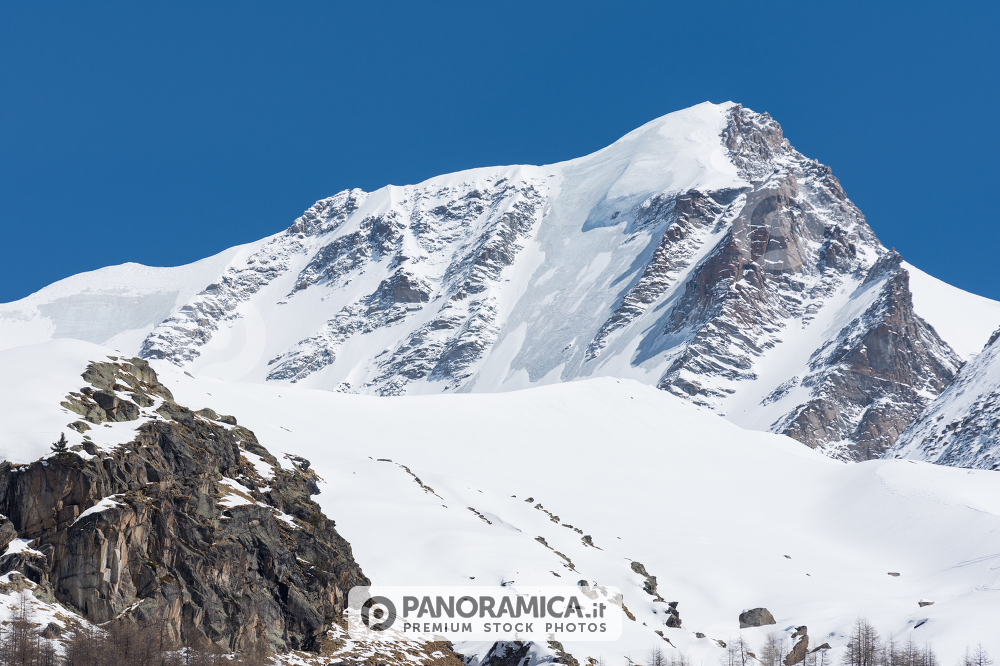 Gran Paradiso