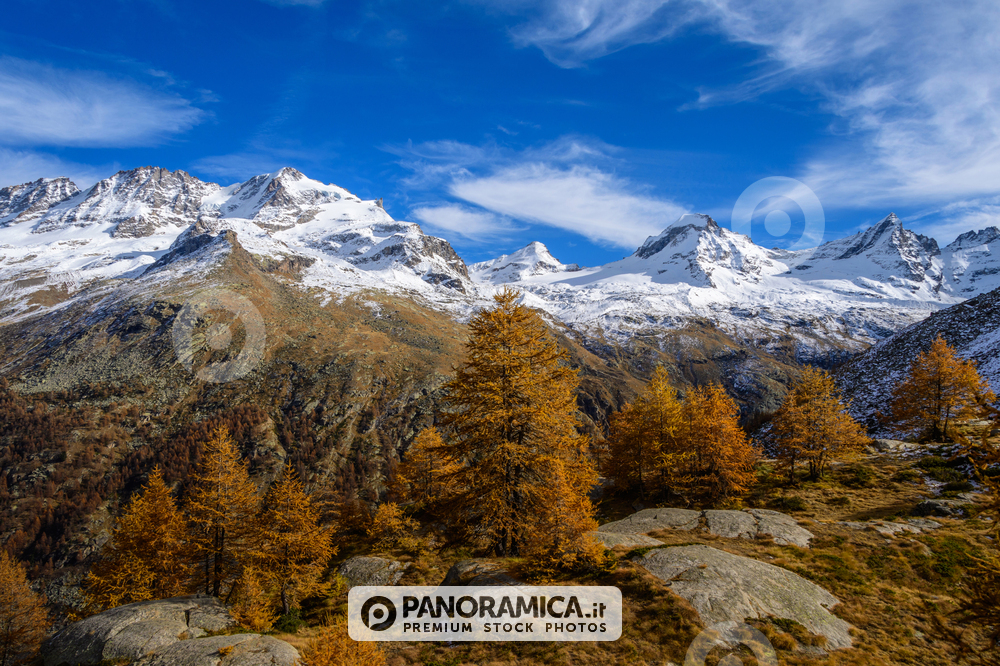 Gran Paradiso dalla Croce dell’Arolley, (Croix de la Roley)
