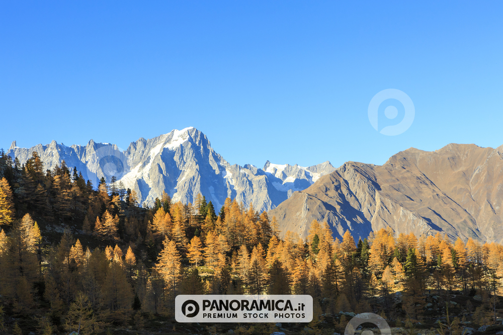 Grande Jorasses in autunno