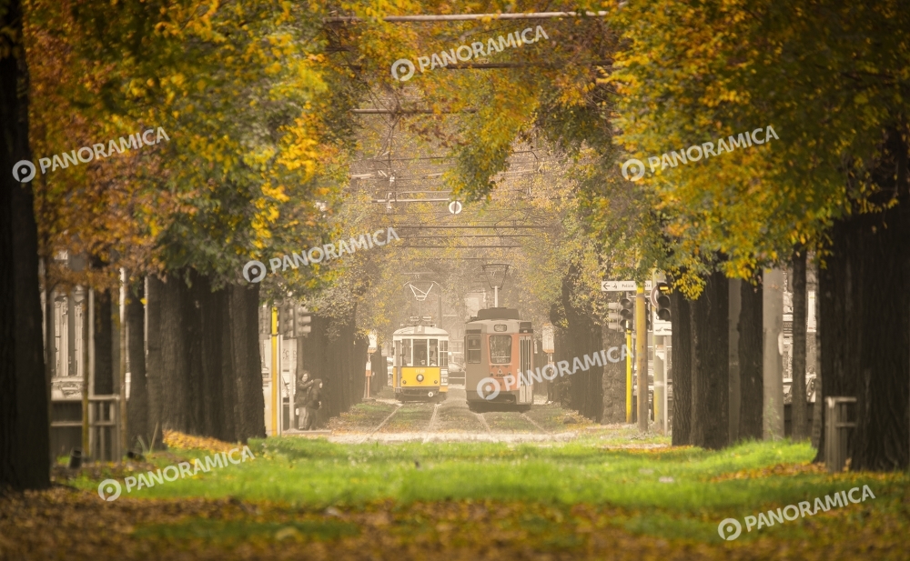 I tram e le foglie autunnali