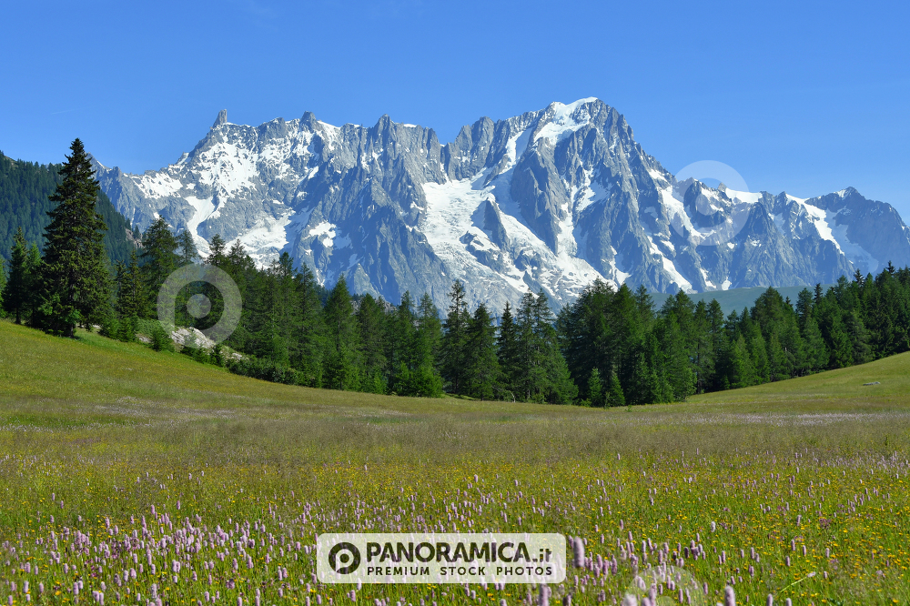 Il Monte Bianco da Petosan 