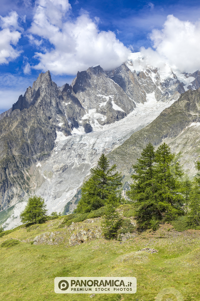 Il Monte Bianco dalla Val Ferret (Courmayeur, Aosta, Valle d'Aosta, Italia)