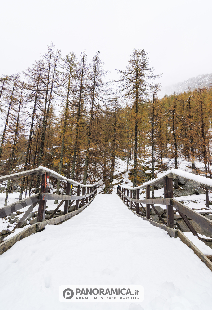Il ponte imbiancato