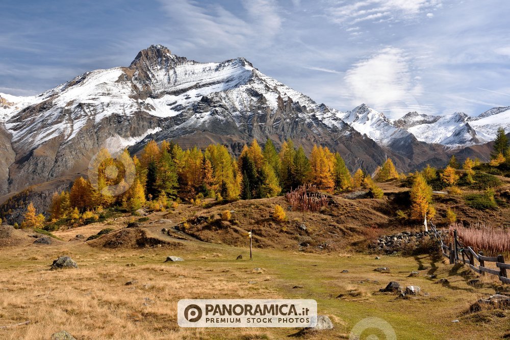 La Grivola nei colori d'autunno 