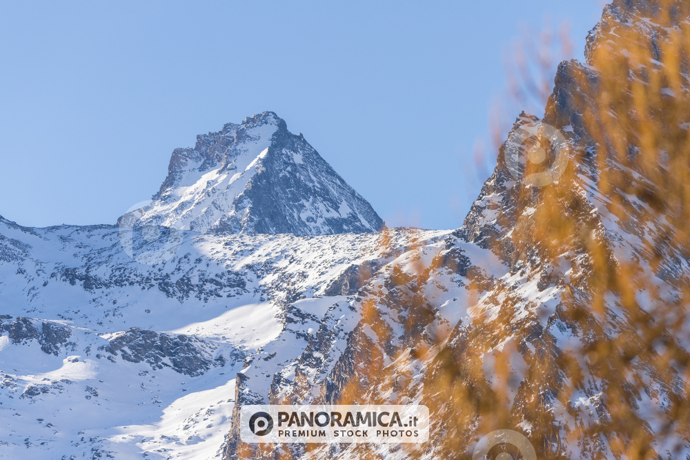 La Grivola nel paesaggio invernale, Valle di Cogne, Parco Nazionale Gran Paradiso, Valle d'Aosta