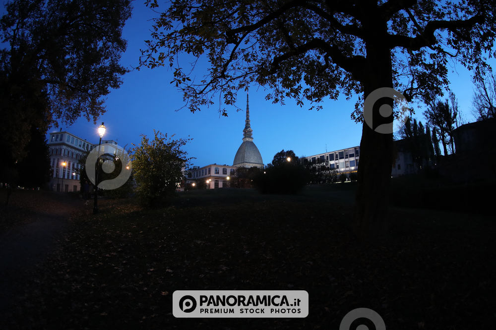 la Mole di sera