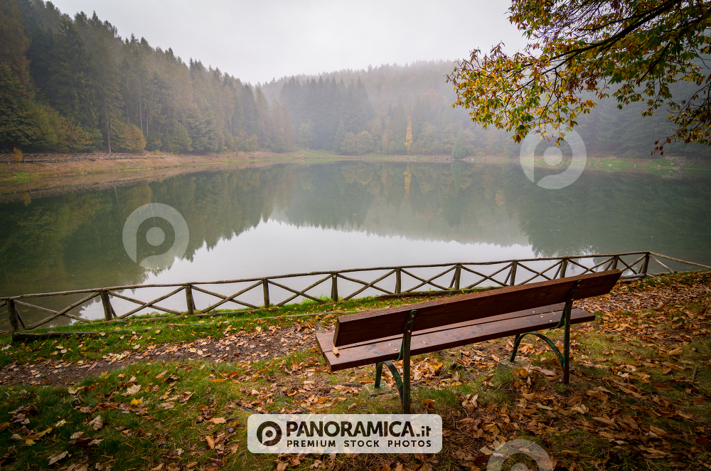 La poesia dell'autunno...