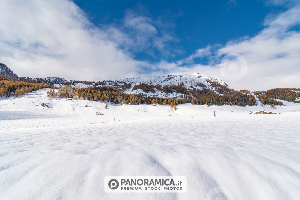 La prima neve