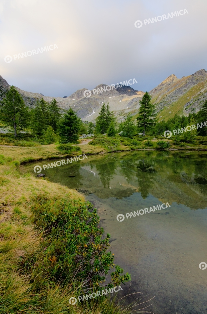 Laghetto vicino Lago d'Arpy