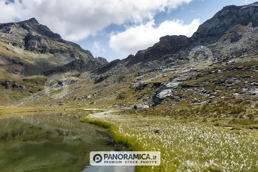 Laghi Pinter