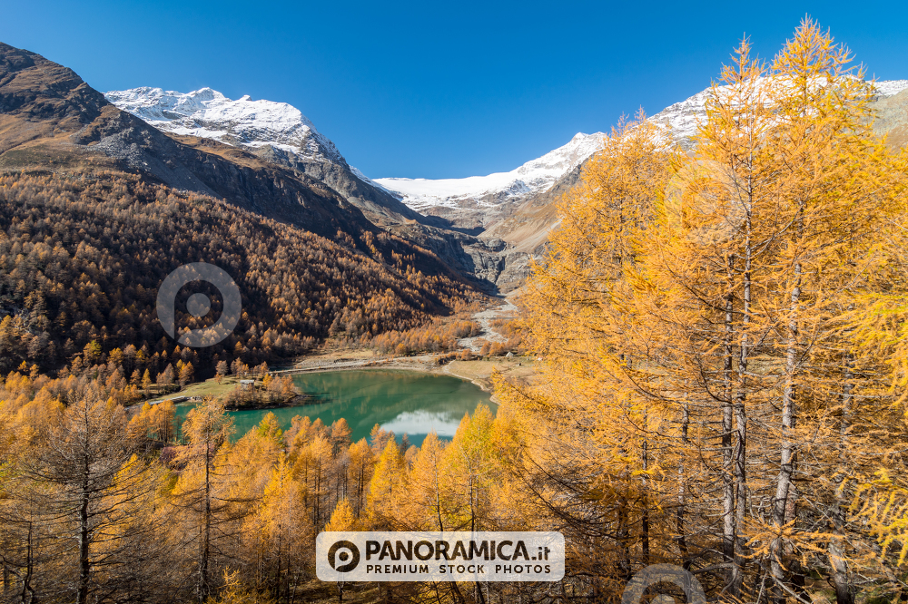 Lago Alp Grum