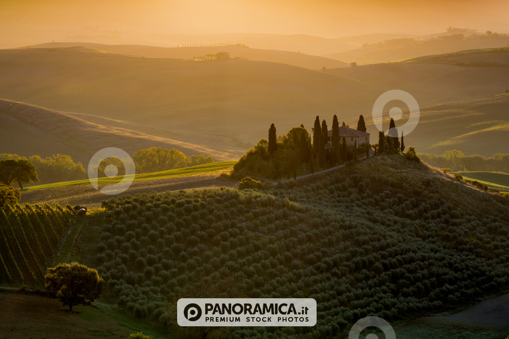 L'alba al Belvedere - Val d'Orcia