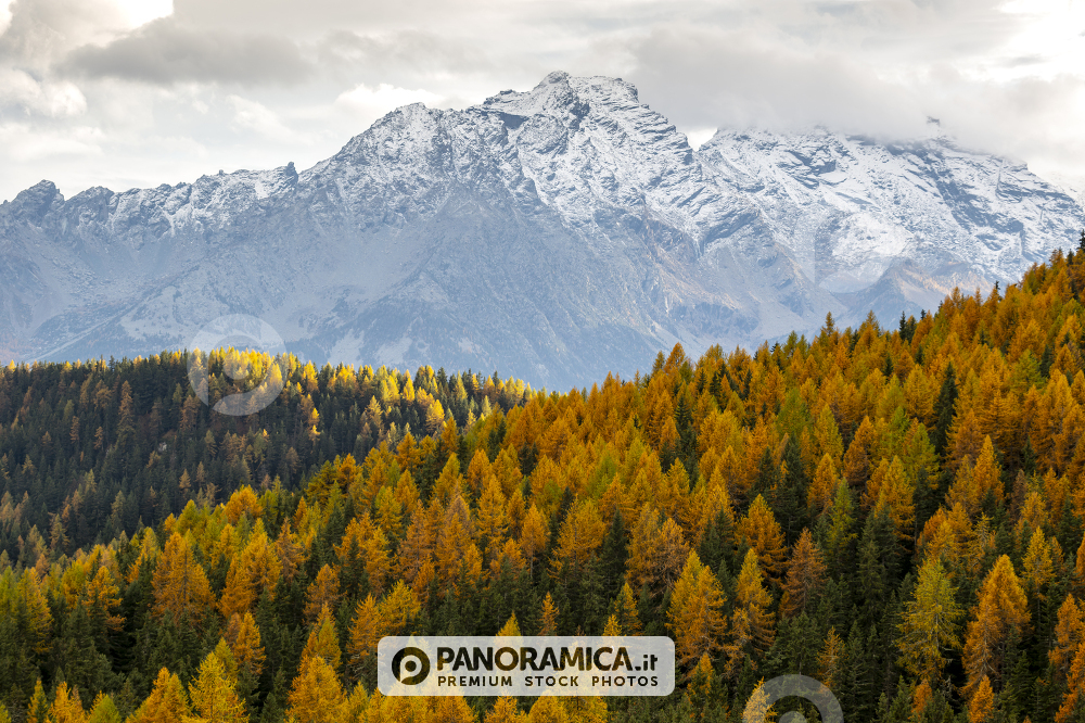 L'autunno a Torgnon