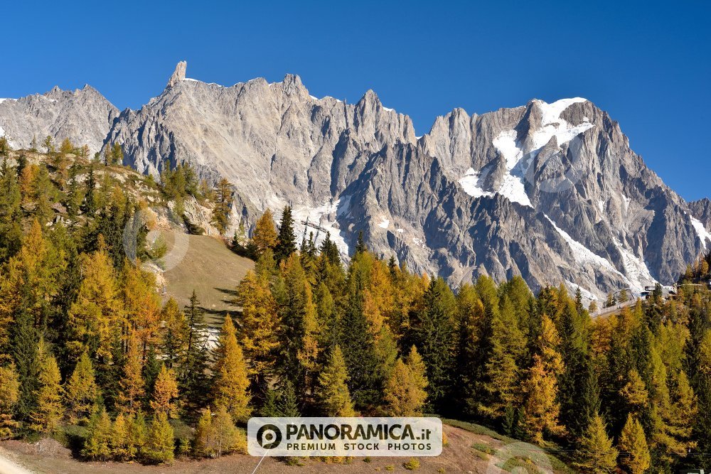 Le Grandes Jorasses 