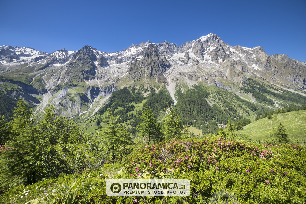 Le Grandes Jorasses dalla Val Ferret (Courmayeur, Aosta, Valle d'Aosta, Italia)