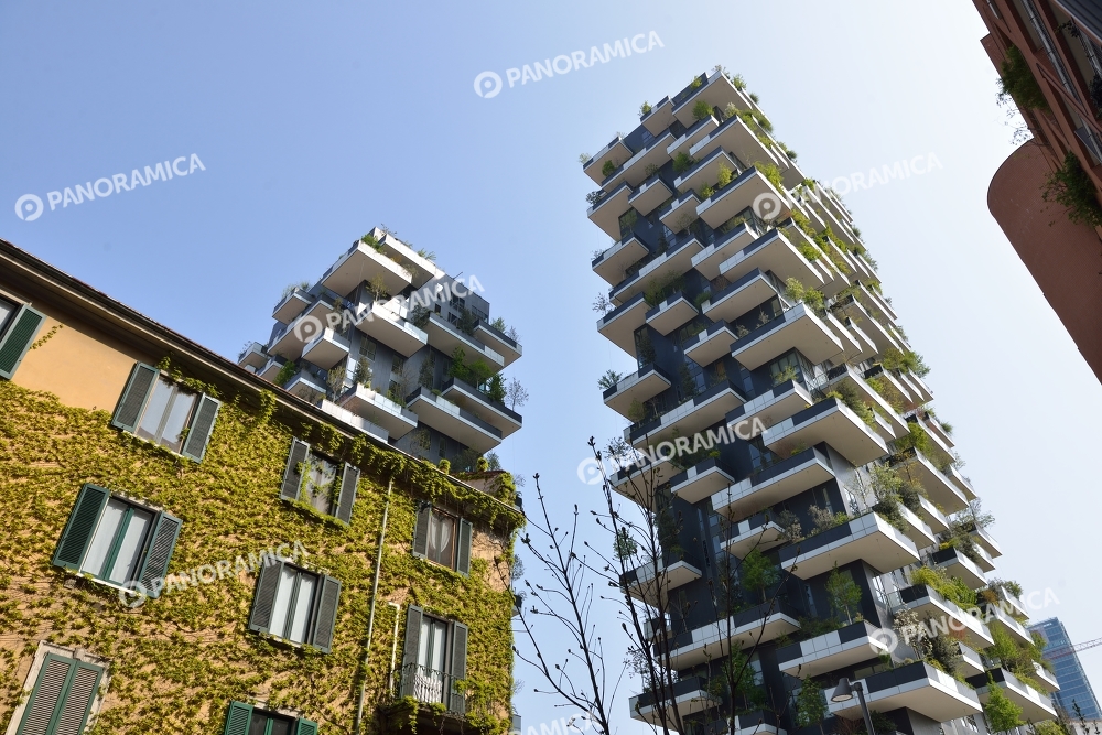 L'edera e i balconi fioriti del Bosco Verticale