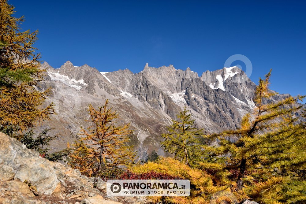 Les Grandes Jorasses nei colori d'autunno