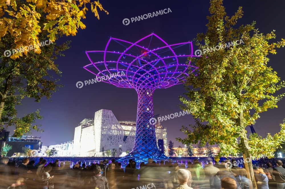Lo spettacolo dell'Albero della Vita