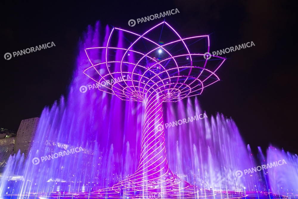 Lo spettacolo dell'Albero della Vita